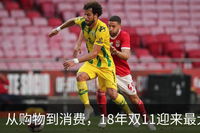 从购物到消费，18年双11迎来最大一次跃迁
