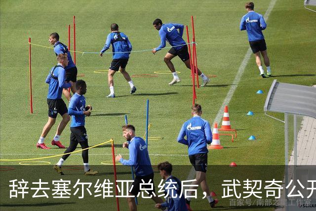 辞去塞尔维亚总统后，武契奇公开作出承诺：不会对俄罗斯实施制裁