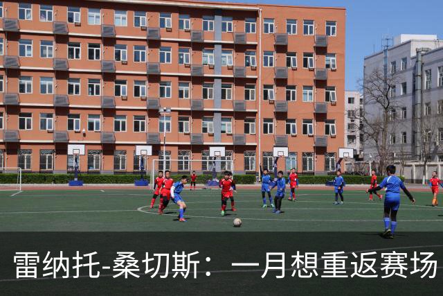 雷纳托-桑切斯：一月想重返赛场，相信职业生涯最难阶段已过去