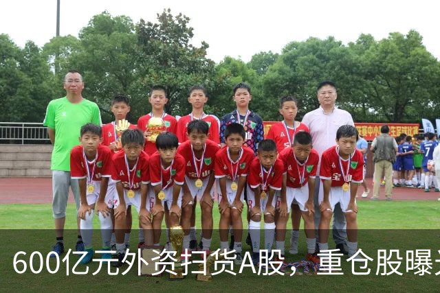 600亿元外资扫货A股，重仓股曝光